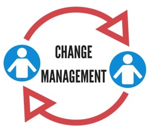 management change consultants concerned should why